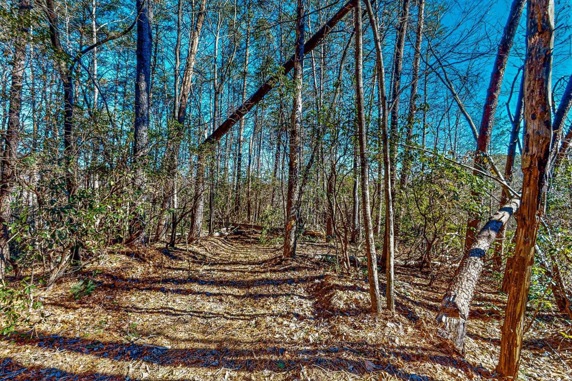Singing Pines Hotel Sautee Nacoochee Bagian luar foto